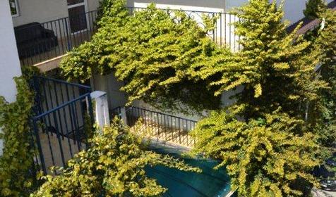 Территория. Отель ЛЭНСиС, г. Сочи, Адлерский район, г. Адлер