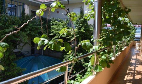 Территория. Отель ЛЭНСиС, г. Сочи, Адлерский район, г. Адлер