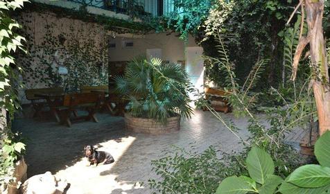 Территория. Отель ЛЭНСиС, г. Сочи, Адлерский район, г. Адлер