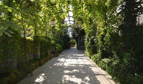 Территория. Отель ЛЭНСиС, г. Сочи, Адлерский район, г. Адлер