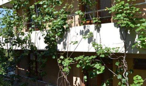 Территория. Отель ЛЭНСиС, г. Сочи, Адлерский район, г. Адлер