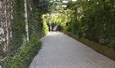 Территория. Отель ЛЭНСиС, г. Сочи, Адлерский район, г. Адлер