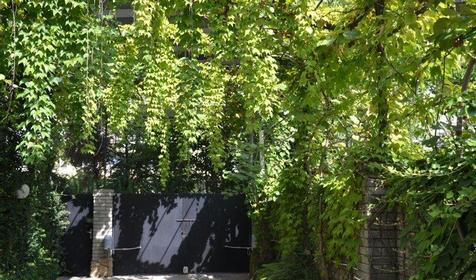 Территория. Отель ЛЭНСиС, г. Сочи, Адлерский район, г. Адлер