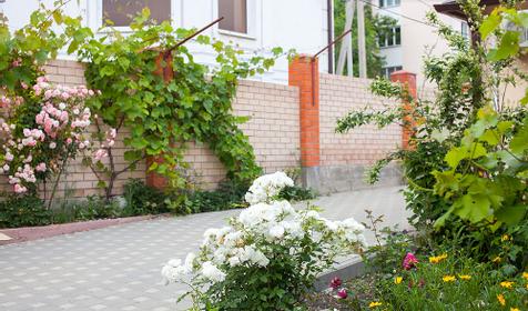 Двор. Гостевой дом Леонидас, г. Геленджик, п. Кабардинка