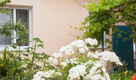 Двор. Гостевой дом Леонидас, г. Геленджик, п. Кабардинка