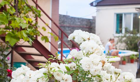 Двор. Гостевой дом Леонидас, г. Геленджик, п. Кабардинка