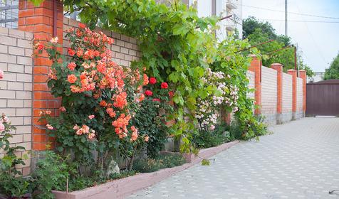 Двор. Гостевой дом Леонидас, г. Геленджик, п. Кабардинка