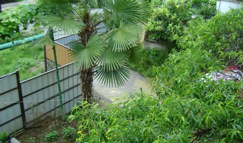 Частный дом Ангелина, г. Сочи, Адлер