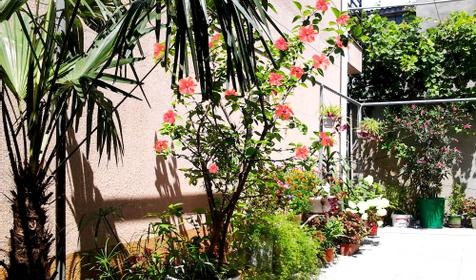 Частный дом на ул. Новороссийская, г. Анапа