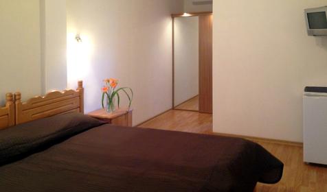 Двухместный стандарт. Гостевой дом Фем Ландия, г. Геленджик, с. Архипо-Осиповка