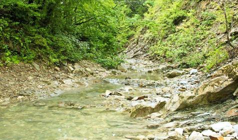 База отдыха Черномор и Ко, г. Геленджик, х. Бетта