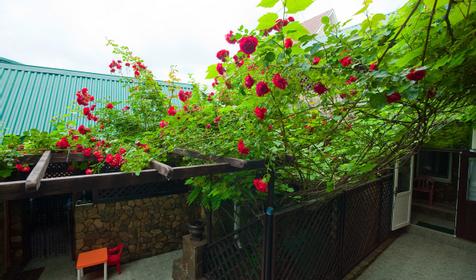 Гостевой дом Зеркальный на Зеркальной, г. Геленджик, п. Архипо-Осиповка