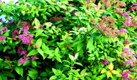 Relax Hotel (Релакс Отель)