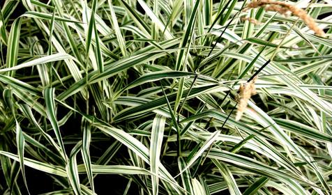 Relax Hotel (Релакс Отель)