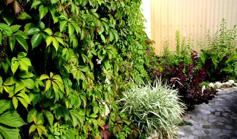 Relax Hotel (Релакс Отель)