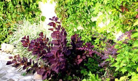 Relax Hotel (Релакс Отель)