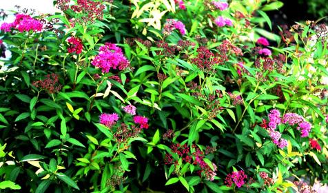 Relax Hotel (Релакс Отель)