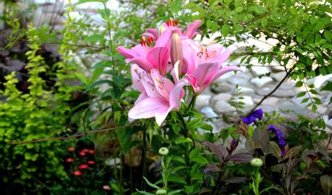 Relax Hotel (Релакс Отель)