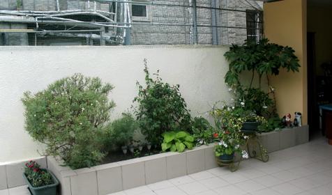 Гостевой дом "Атланта", г. Адлер