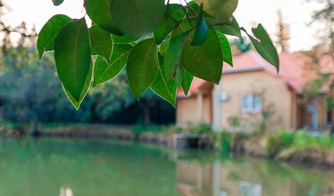 Ресторан. Туристический комплекс Озеро Дивное, п. Лазаревское