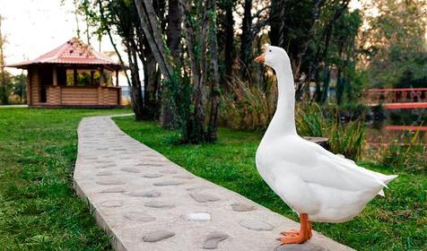 Ресторан. Туристический комплекс Озеро Дивное, п. Лазаревское