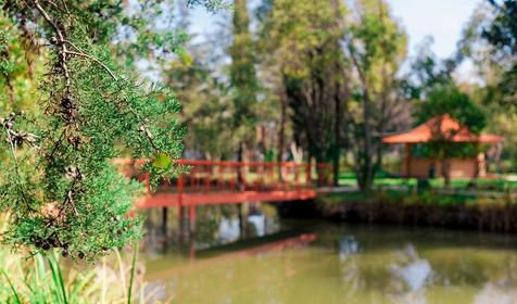 Ресторан. Туристический комплекс Озеро Дивное, п. Лазаревское