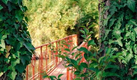 Ресторан. Туристический комплекс Озеро Дивное, п. Лазаревское