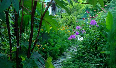 У Борисовны, г. Анапа