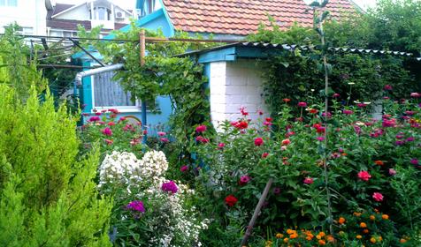 У Борисовны, г. Анапа