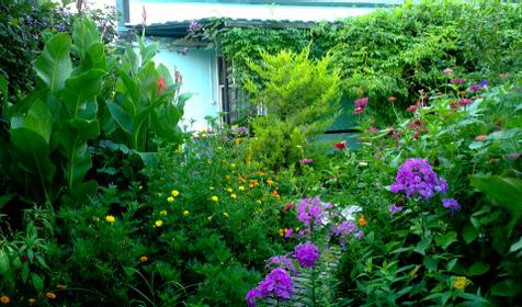 У Борисовны, г. Анапа