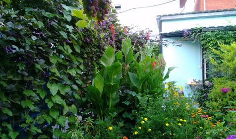 У Борисовны, г. Анапа