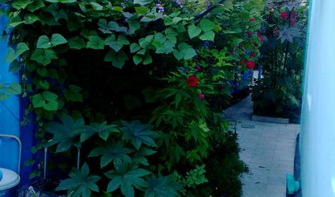 У Борисовны, г. Анапа