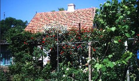 У Борисовны, г. Анапа