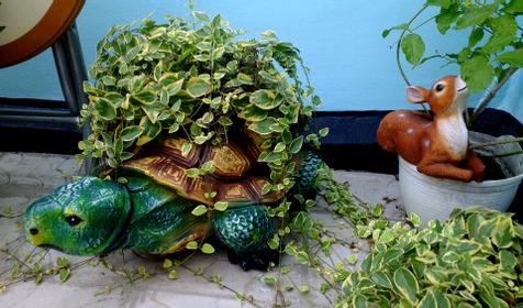 У Борисовны, г. Анапа