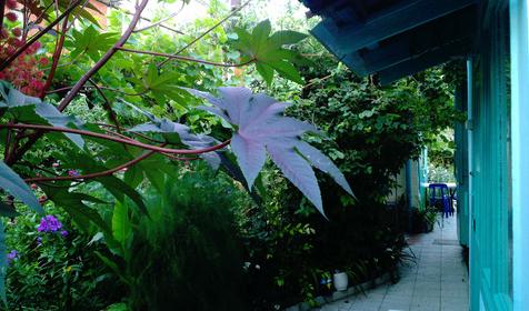 У Борисовны, г. Анапа