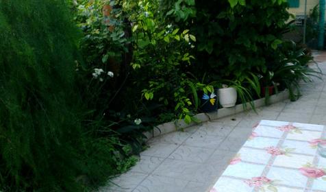 У Борисовны, г. Анапа