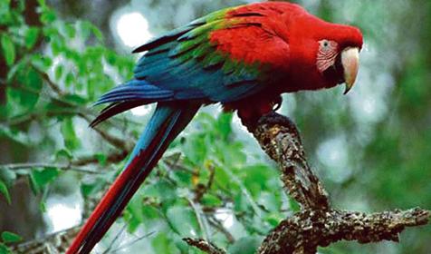 Обитатели Сафари-парка. Краснодар