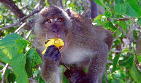 Обитатели Сафари-парка. Краснодар