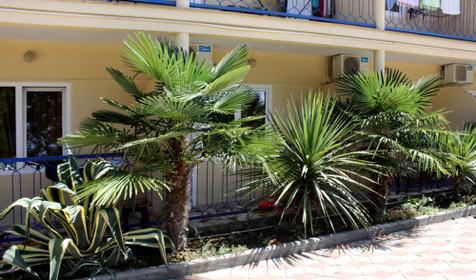 Феникс, п. Вардане