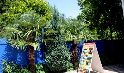 Феникс, п. Вардане