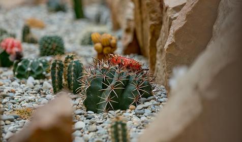 Ахиллеон Парк Бутик Отель, г. Геленджик, с. Кабардинка