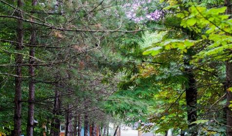 База отдыха Inal Bay База отдыха “Золотой Колос”, Туапсинский район, Бухта Инал