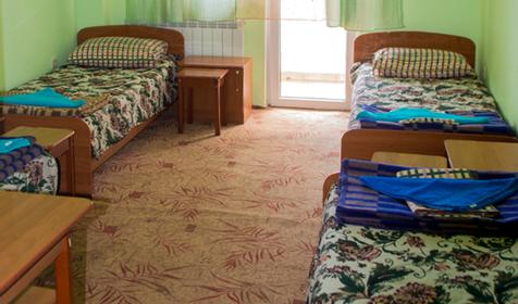 Четырехместный эконом. Отель Афродита, Адлерский р-н, г. Сочи