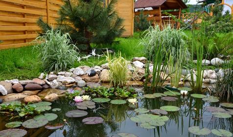 Пруд. Гостевой дом Горница+, р. Адыгея, р-н Майкопский, п. Каменномостский