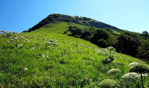 Аул Большой Псеушхо, Туапсинский район