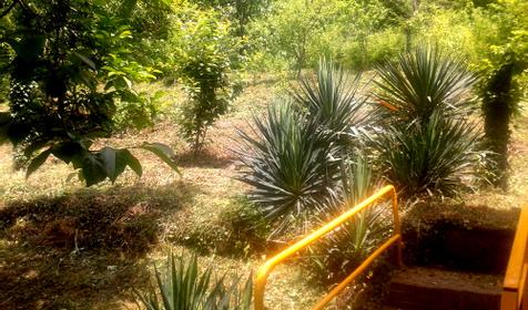 На даче у Виктора, п. Лазаревское