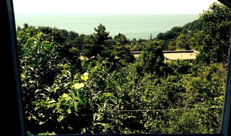 На даче у Виктора, п. Лазаревское