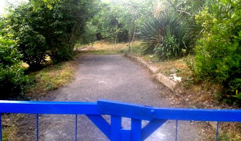 На даче у Виктора, п. Лазаревское