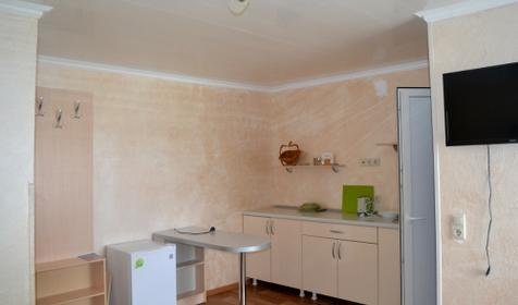 Студия без балкона. Мини-отель Ирена, г. Адлер