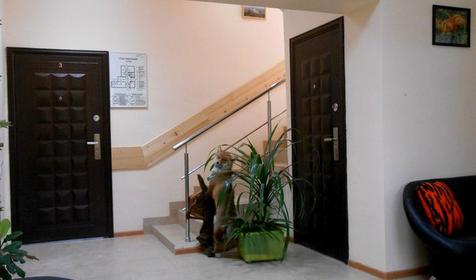 Гостевой дом Лисья Нора, п. Псебай